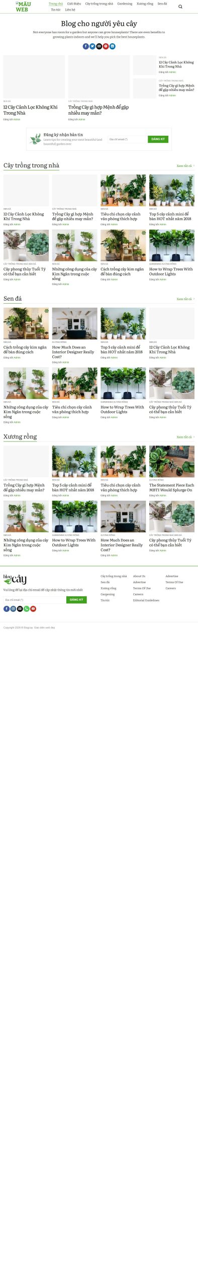Mẫu Website Tin Tức – Blog